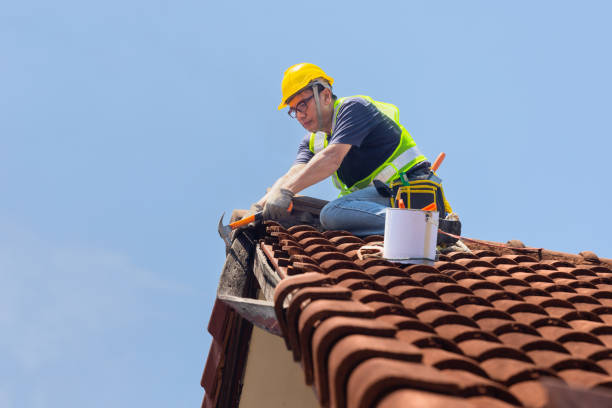 Best Roof Ventilation Installation  in Clinton, WI